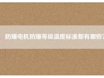防爆電機(jī)防爆等級(jí)溫度標(biāo)準(zhǔn)都有哪些？