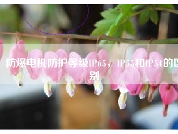 防爆電機(jī)防護(hù)等級IP65，IP55和IP54的區(qū)別