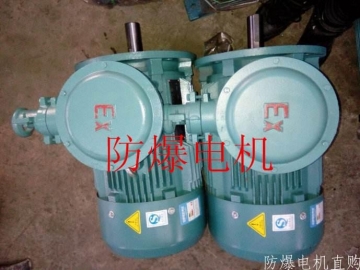 防爆電機(jī)分類：防爆電機(jī)選型、參數(shù)、定義