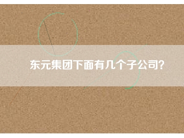 東元集團(tuán)下面有幾個(gè)子公司？