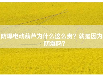 防爆電動葫蘆為什么這么貴？就是因為能防爆嗎？