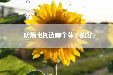 防爆電機(jī)選哪個(gè)牌子的好？