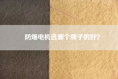 防爆電機(jī)選哪個牌子的好？