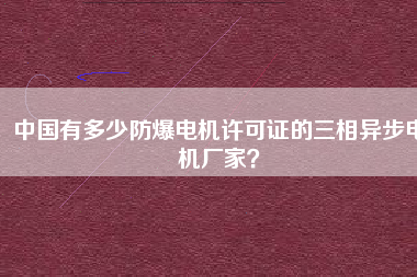 中國(guó)有多少防爆電機(jī)許可證的三相異步電機(jī)廠家？