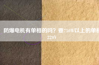 防爆電機有單相的嗎？要750W以上的單相220V