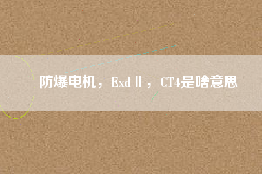 防爆電機(jī)，ExdⅡ，CT4是啥意思